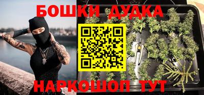гидра Гусиноозёрск