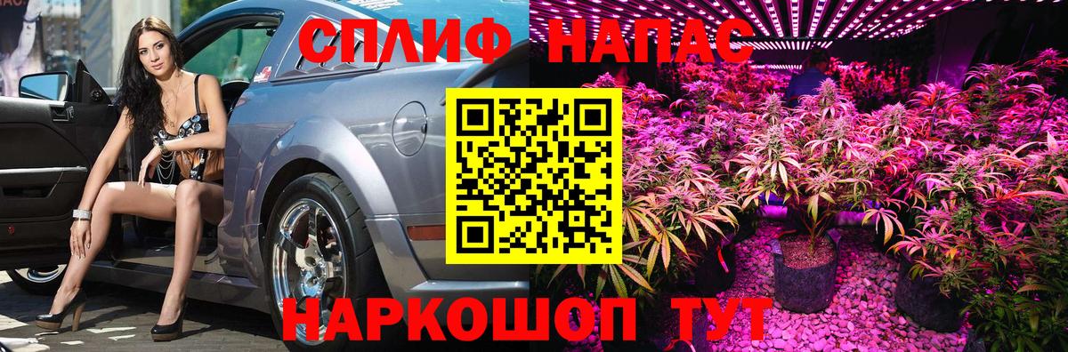 Шишки марихуана Amnesia  Конопля VHQ  Вход с VPN  Марихуана SATIVA & INDICA  Назрань 
